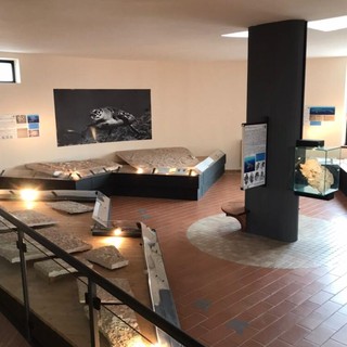 Il Museo Paleontologico e Preistorico vola al Mineral Show